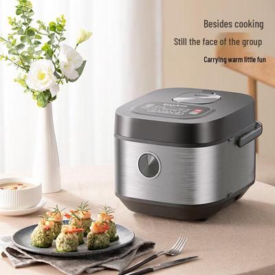 Longde Smart Rice Cooker CN Plug (adapter Included)