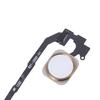 For phone 5s gold touch fingerprint ID sensor home button key flex assembly