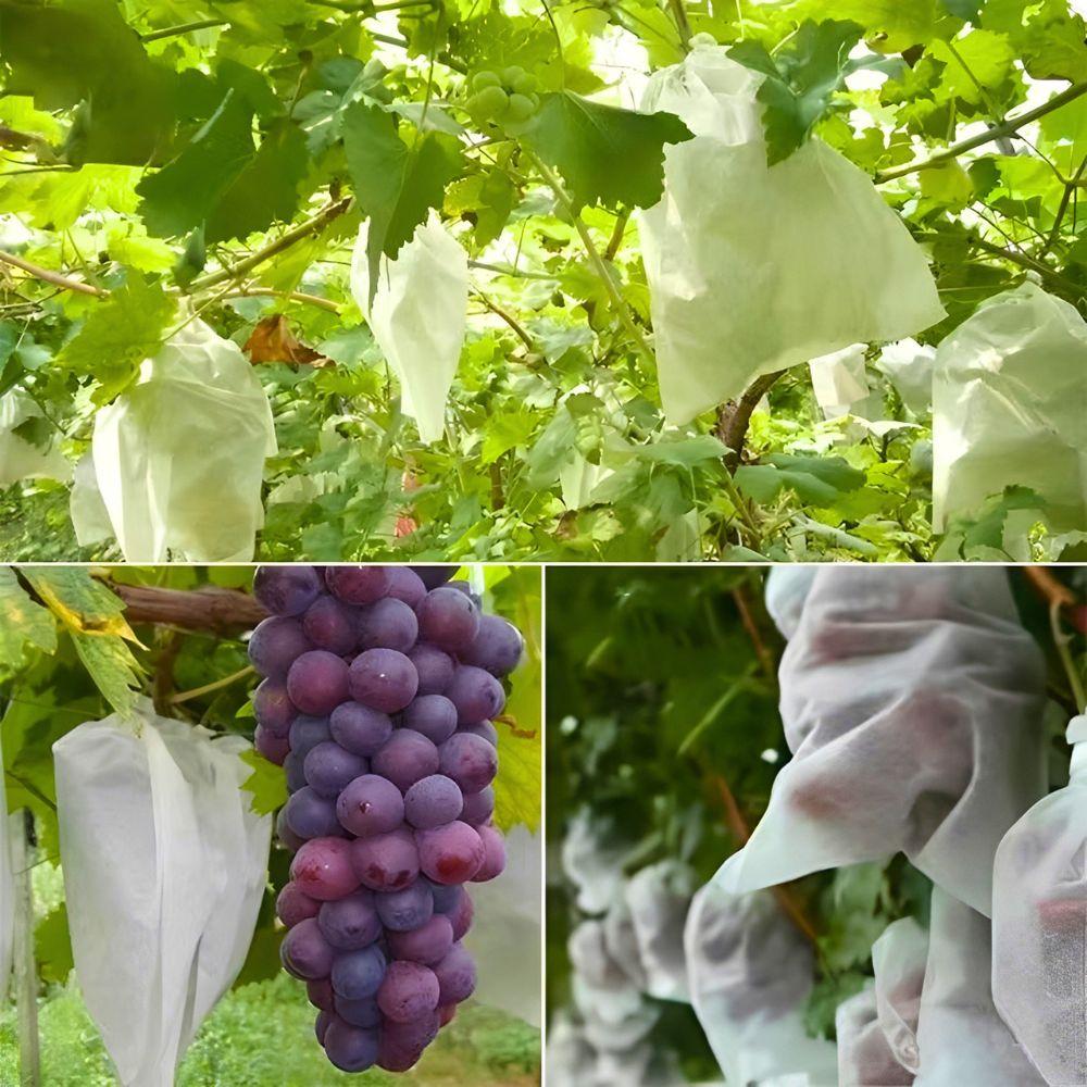 105pcs Breathable Non-woven Drawstring Fruit Protect Bags for Grape, Apple, Pear, Farm Crop Growing Protection Accessories YMY