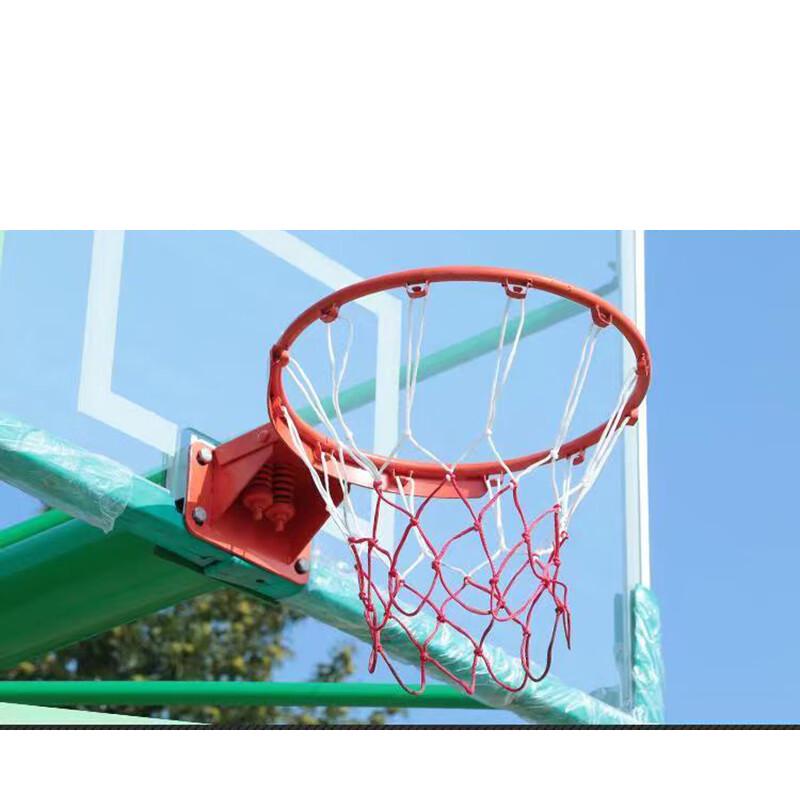 Adult Competition Basketball Hoop