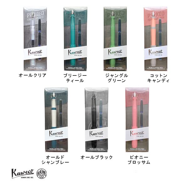 Kaweco Fountain Pen F Fine Point Pakeo Breezy Teal 10002229 Blister Regular Imported Product