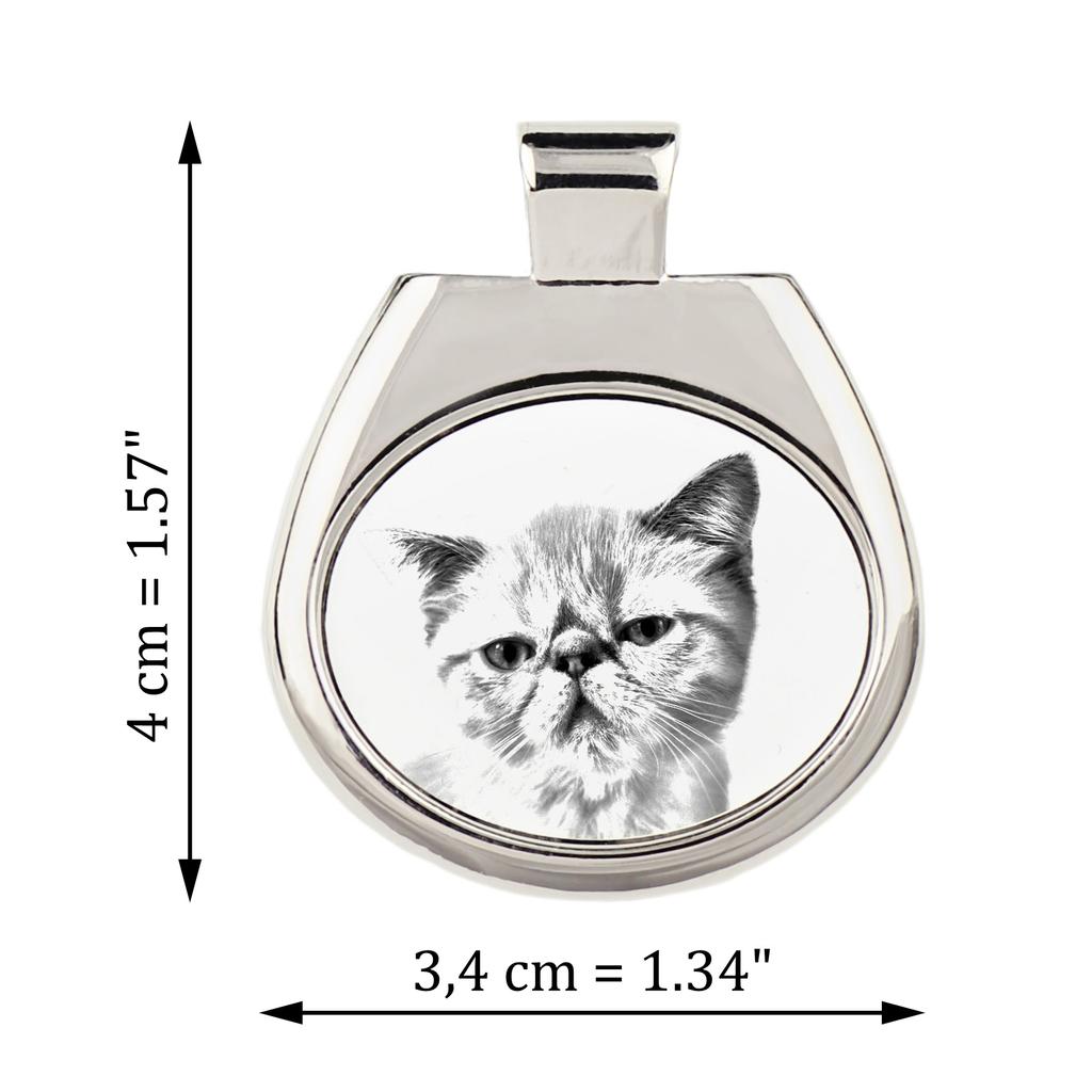 Exotic Shorthair – Cat necklace, personalized pendant with a photo | Art-Dog