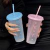 500/850ml Su Şişeleri Meyve Suyu Süt Plastik Bardak Kapaklı Pipetli Bubble Tea Kahve Fincanları Büyük Kapasiteli İçecek Kapları Şeffaf