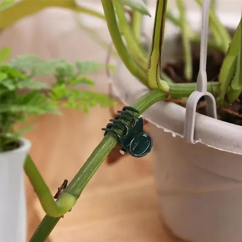 20-100 Stück Kunststoff-Pflanzenstützklemmen Orchideen-Stielklemme für Rankenstütze Gemüse Blume Bündelbinder Astklemme Gartengerät