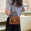 Fashionable Retro Women's Handbag 2024 New Trendy Small Square Bag For Daily Use