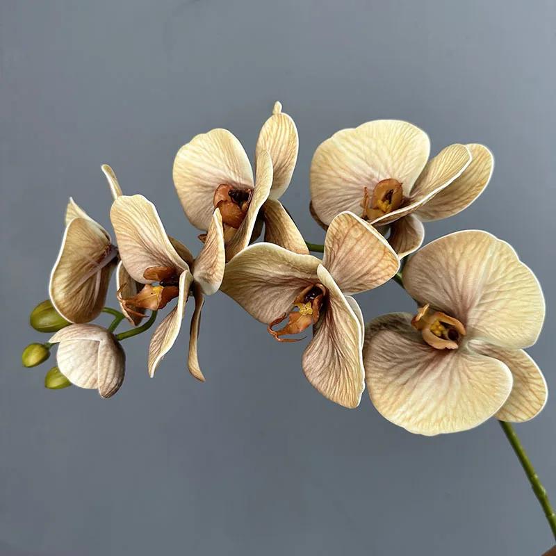 

Artificial Butterfly Orchid Branch with Real Touch Fake Flower Hotel Decoration Silicone Cotton Phalaenopsis Simulation Flowers колір світло кави