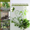 1/30/50Pcs For Garden Accsesories Plant Garden Pots & Planters Climbing Wall Outdoor Decors Lamp Support for Plants Clip Vine