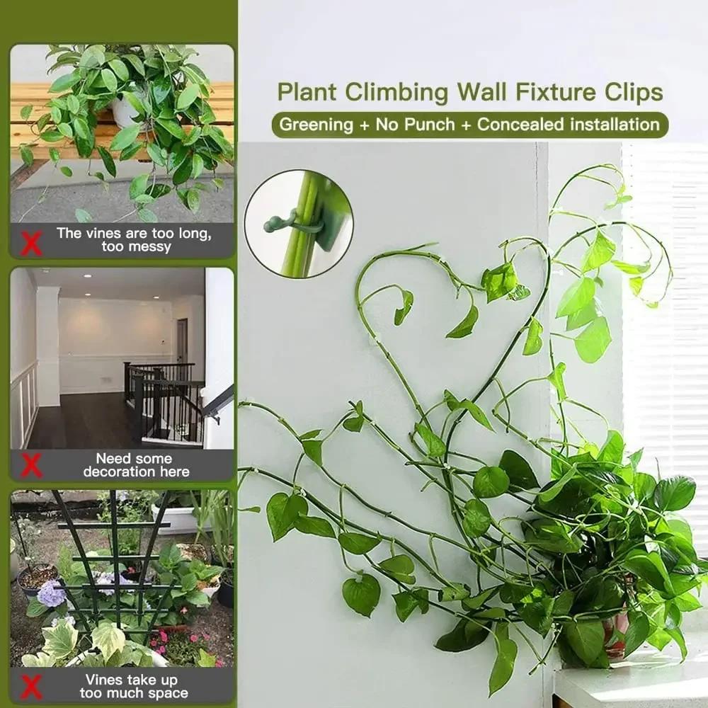 1/30/50Pcs For Garden Accsesories Plant Garden Pots & Planters Climbing Wall Outdoor Decors Lamp Support for Plants Clip Vine