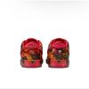 The Wizard of Oz × Nike SB Dunk Low Pro Poppy Field FZ1291-600 Men's Size