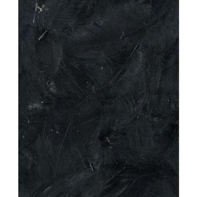 BLACK FEATHERS - 12 CM
