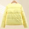 Fashion Winter Short Coat Female Warm Parkas Single Breasted Thick Loose Women Jackets