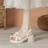 Wind versatile sandals women's open-toed thick-soled heightening skirt casual high-heeled thick-heeled women's shoes