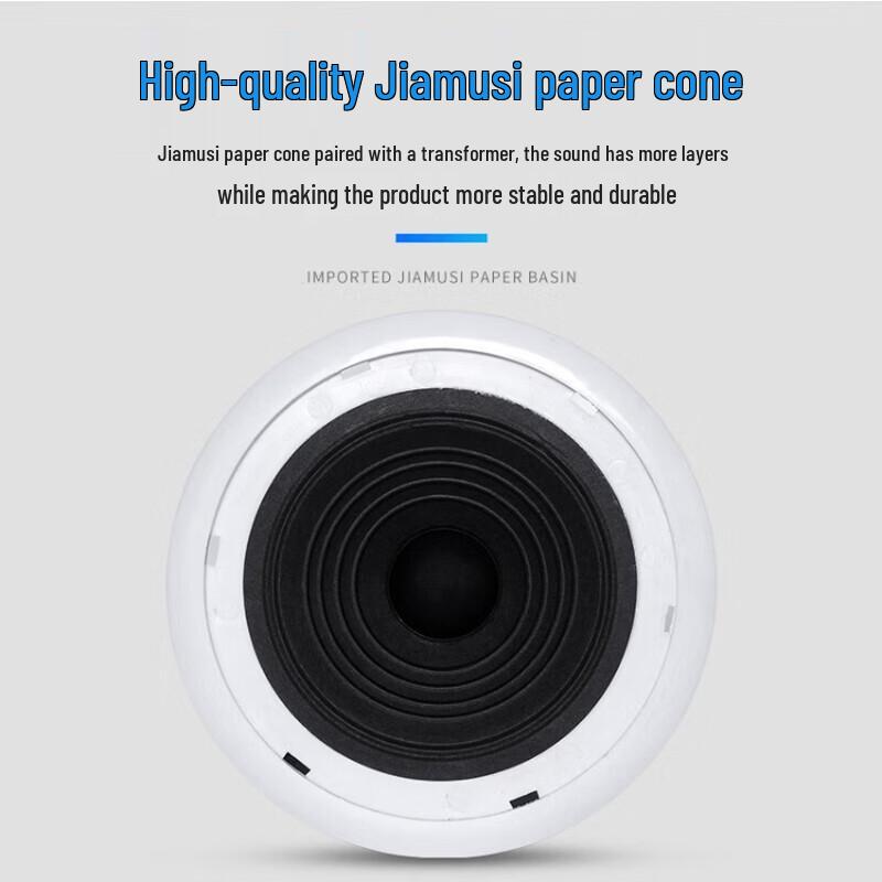 Lingsheng CSL-515 6-inch Ceiling Speaker CN plug (adapter included)