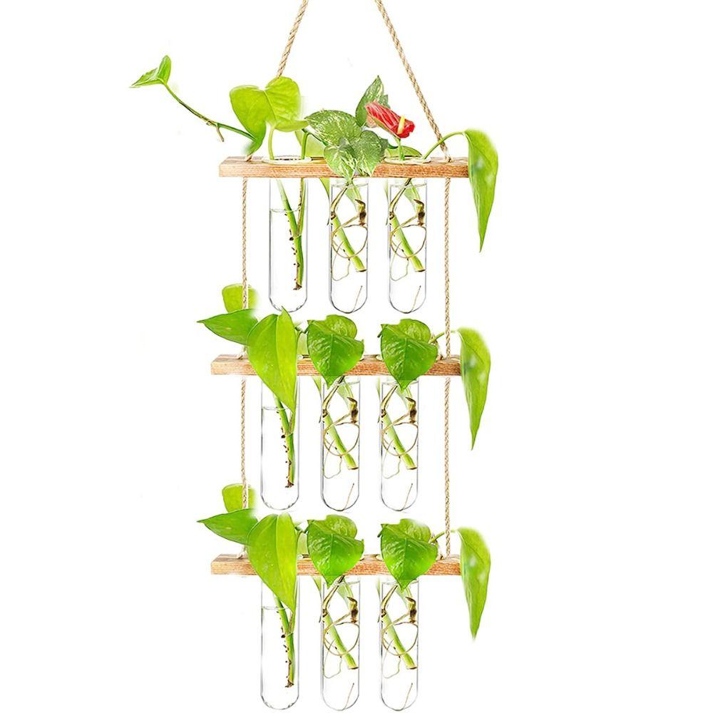 Retro Wood Frame Vase Wall Hanging Transparent Glass Vase Glass Planter Plant Vase  Office
