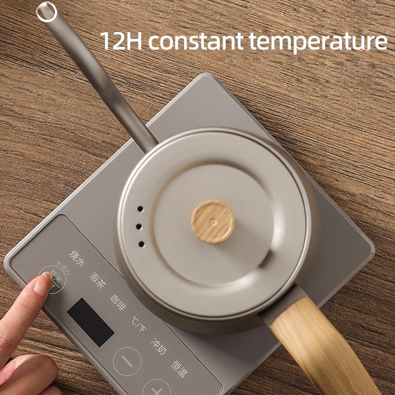 110V/220V Electric Kettle Gooseneck Jug Hand Brew Coffee Pot Thermo Pot Slender Mouth Pots Smart Kettle Teapot 1000W Decor