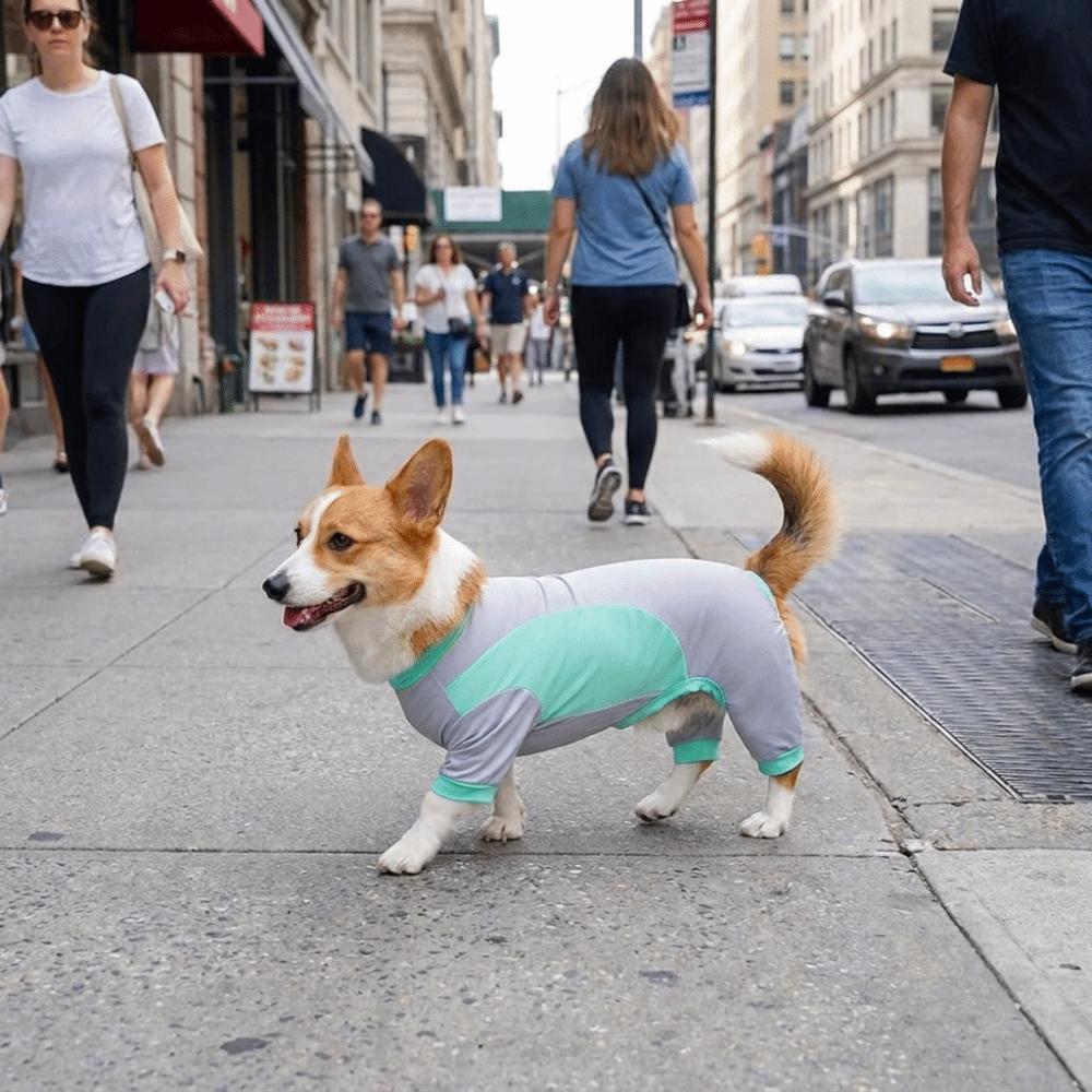 Long Sleeve Dog Jumpsuit Breathable Dog Sunscreen Suit Dog Four-legged Clothes Sun Protection