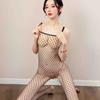 Women's Sexy Lingerie Sexy Open File Ladies One-piece Stockings Net Clothes Transparent Uniform Temptation One-piece Fishnet Stockings