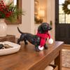 Small Animal Sculpture Dachshund Statue, Resin Standing Dog Figurine with Red Knitted Fireplace Mantel Decor Scarf, Cute Christmas Puppy for