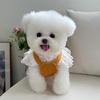 Pet Clothes Autumn Winter New Corduroy Pumpkin Skirt Leash Buckle Teddy Bichon Dog Cat Warm Lace Skirt Factory
