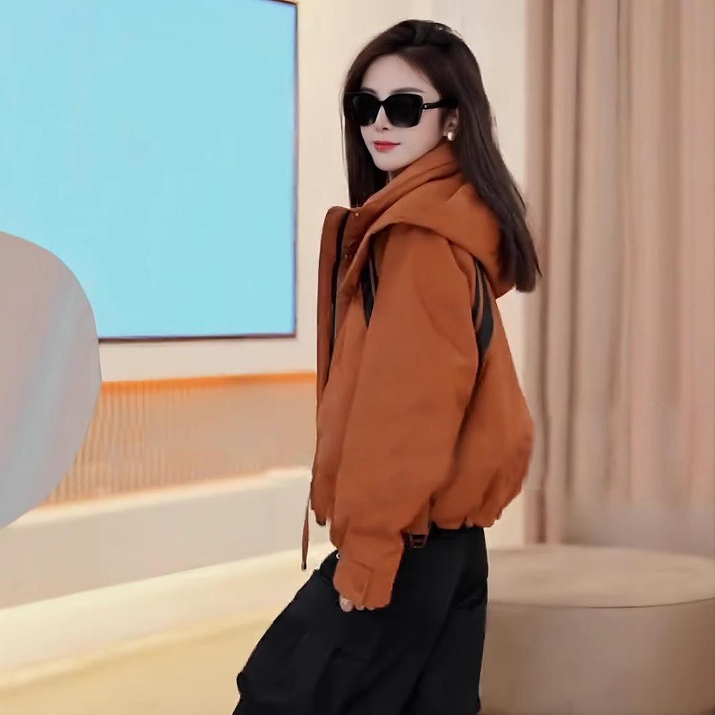 European Style Hooded Down Jacket - 2024 Winter Loose Fit, High-End Small Size Thick Coat