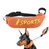 Conjunto de Coleira e Guia para Cachorro Conjunto de Guias e Coleira 2 em 1 Ajustável à Medida Coleira à Prova de Mastigação à Prova de Fugas Para Treinamento de Obediência