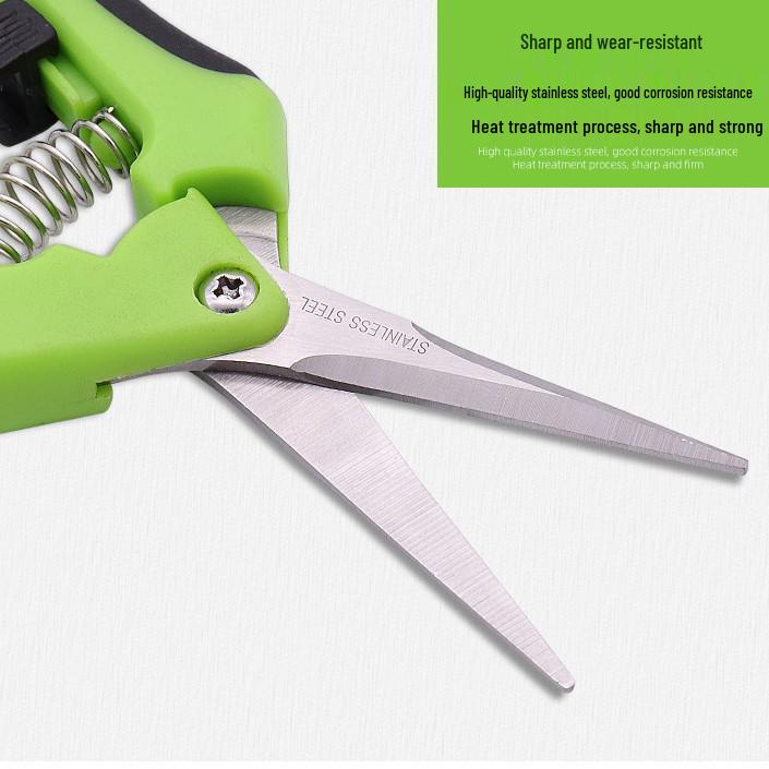 Stainless Steel Straight Head Pruning Shears for Flowers, Branches, and Fruit Trees.