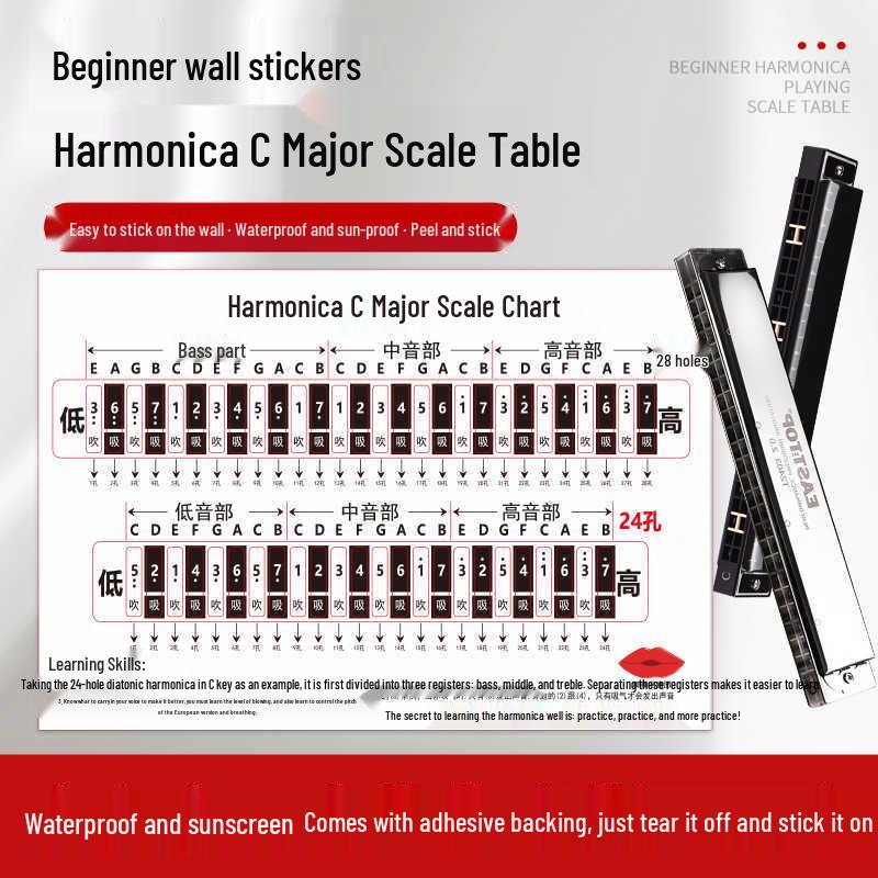 Harmonica Beginner Practice Sticker: C Key Scale Chart for 24/28 Hole Models, Child & Adult Use, Hole Positions & Blowing Symbols