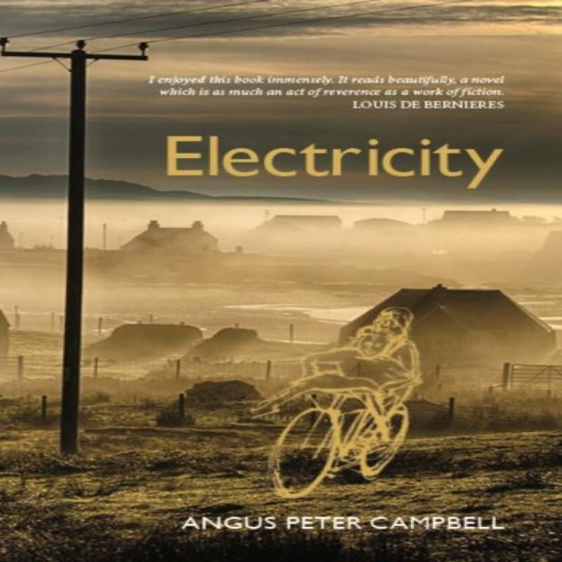 Electricity by Angus Peter Campbell Paperback Book 9781804250501