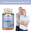 Pslalae High-Absorption Borage Oil Capsules, 1000 mg, 100% Vegan, Suitable for Skin Health and Hair, Easily Absorbed