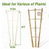 10pcs 4FT Bamboo Trellis For Climbing Plants,Fan-Shaped Plant Support Trellis For Houseplants Ivy Hoya Vine Monstera