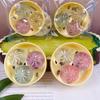 Simulation Food Dumpling Squishy Toys with Steamer Mini Dumplings Squishy Dumpling  Party Favors