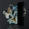 iPhone 17 Air Titan Privacy FusionFilter 7 Tempered Glass Privacy Screen Protector