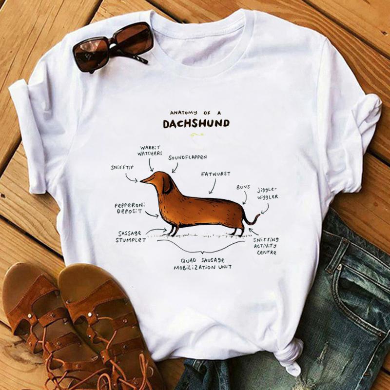 Harajuku Kawaii Tshirt Anatomia Da Raposa Gato Grfico Tees Das Mulheres Tops Esttica T Shirt Tripulao Pescoo Roupas De Vero Para As Mulheres