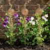 3PCS Copper Electroculture Plant Stakes Durable Plant Support Frame Climbing Vines Stake  Flower