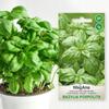 Set of Herb Seeds Mint Oregano Basil Coriander Lovage 5 Pcs. for the Garden