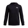 Icon Fleece Taping Hoodie Ultra-soft Fleece Black