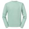 Russell Unisex Adult Authentic Combed Ringspun Cotton Regular Sweatshirt