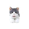 Sun Lemon Lap Cat Sabashiro Small 13 x 36 x 15cm Plush Animal Cute Cat P-7812