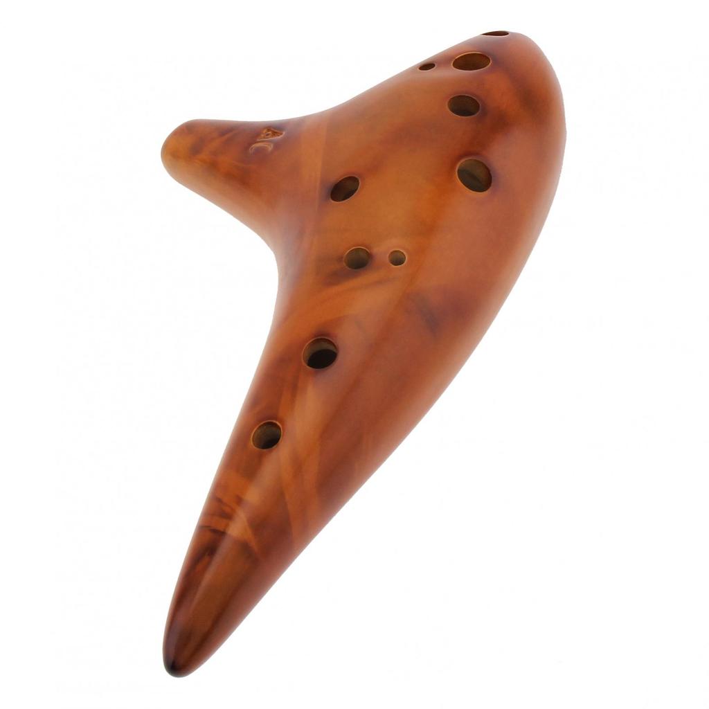 12 Holes Alto ToneC Ceramic Ocarina for Children / Adults / Beginners with Song Book Neck Cord Carry Bag,Good Musical Instrument