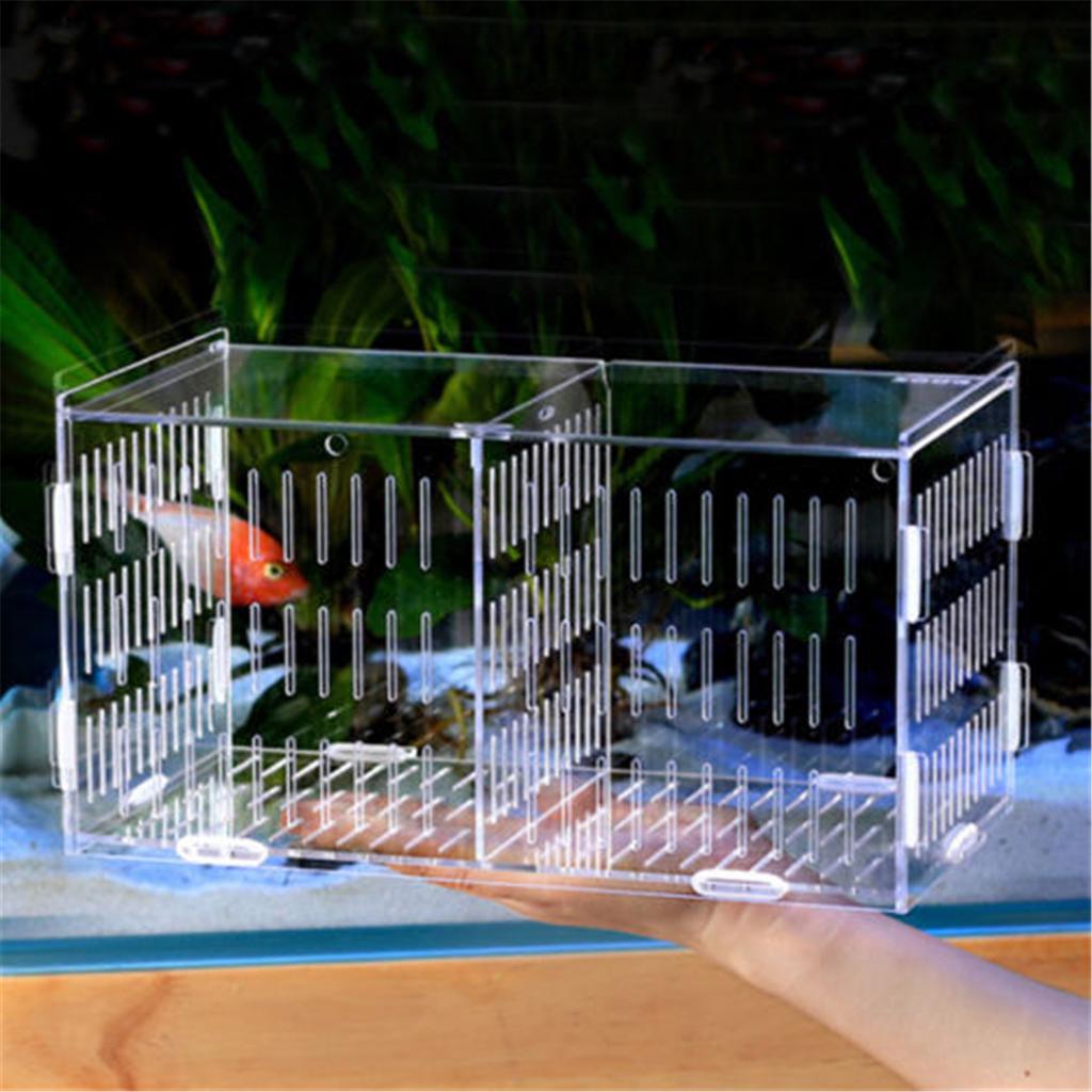 acrylic aquarium fish tank