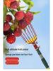 High-Altitude Professional Orchard Fruit Picking Tool with Basket