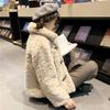 Autumn and winter new imitation lamb wool coat women's short student horn buckle loose imitation fur plush coat
