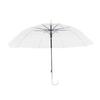 Clear Disposable Plastic Umbrella