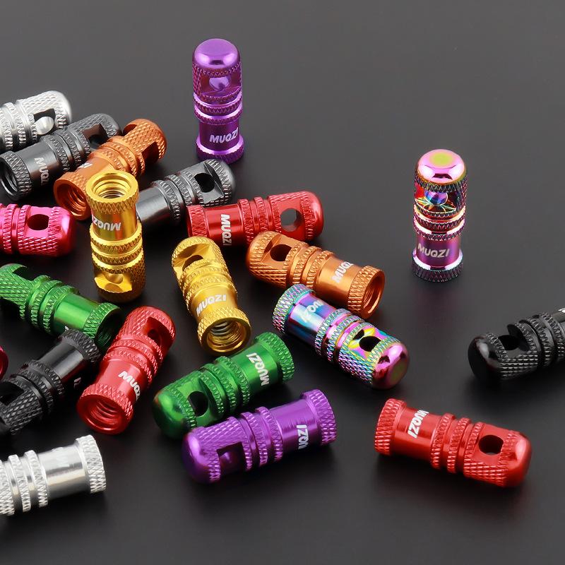 2 Stück Fahrradventilkappe mit Ventilkernentfernungsfunktion Tragbare Aluminiumlegierung Fahrrad Tubeless-Reifenventil Schaftkappe MTB Zubehör