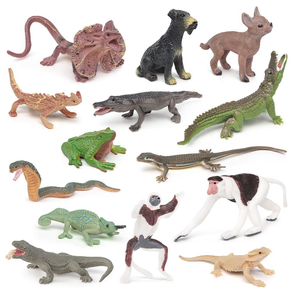 Realistic Animal Pvc Model Collection For Kids Educational And Decorative Use
