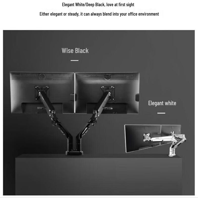 Loctek A8D2 Dual Monitor Mount with USB
