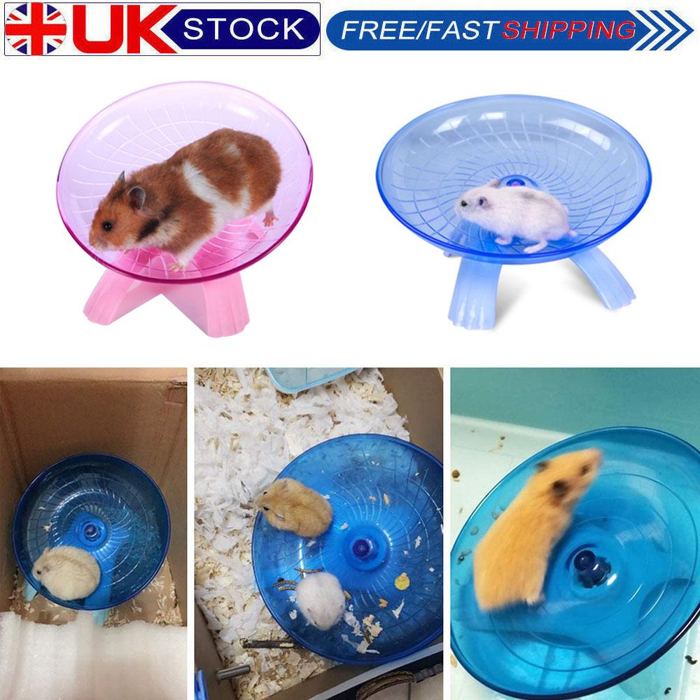 hamster exercise saucer