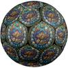 Marine Life Glass Round Football Size 5 Adult Ball Suitable for Training Matches and Outdoor Team.