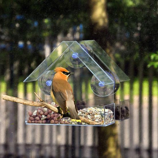 Bird Feeder Large Capacity Convenient Wear-resistant Suction Cup Design Hanging Bird Food Container Bird Supplies