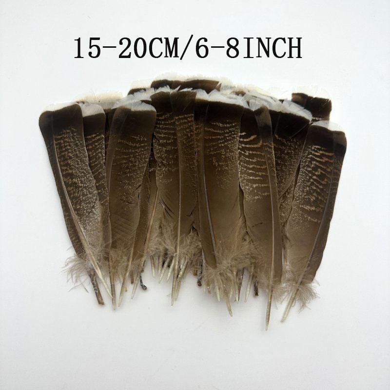 

Natural Turkey Tail Feather 10-30cm/10 4-12inch For Headwear Clothing Hats Party Plumas Diy Carnival Wedding Decoration 10PCS